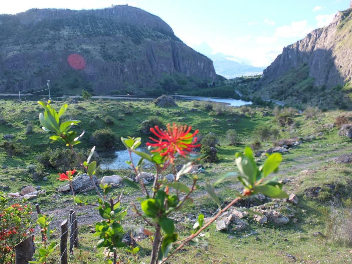 Domo Carpe Diem Patagonia Lägenhet Coyhaique Exteriör bild