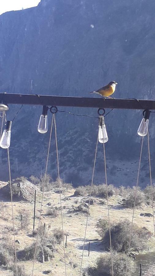 Domo Carpe Diem Patagonia Lägenhet Coyhaique Exteriör bild