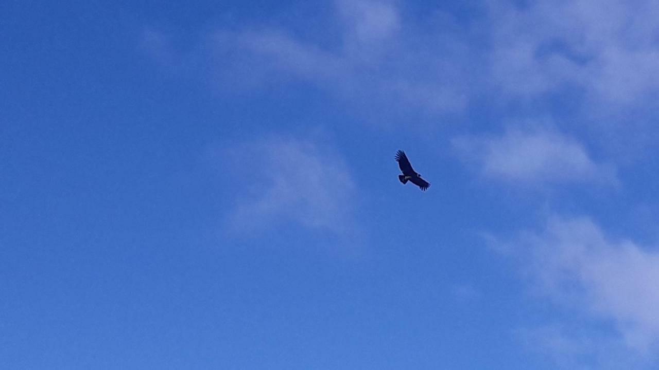 Domo Carpe Diem Patagonia Lägenhet Coyhaique Exteriör bild